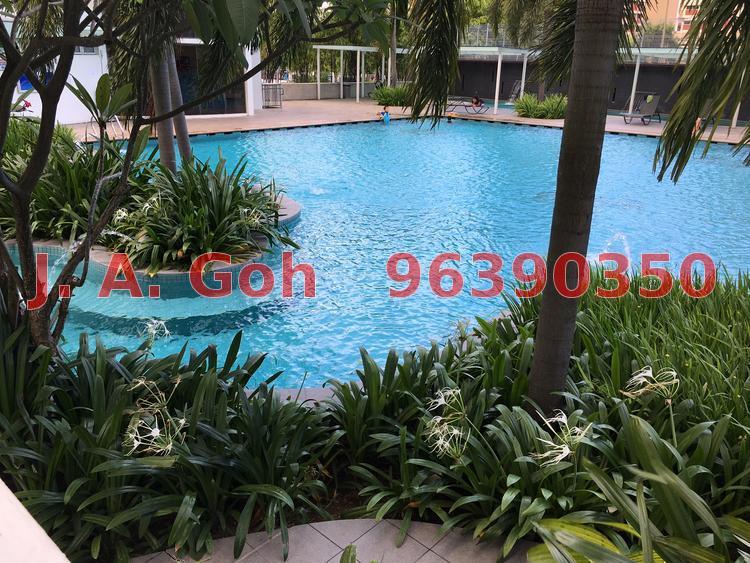 Clover By The Park (D20), Condominium #148308712